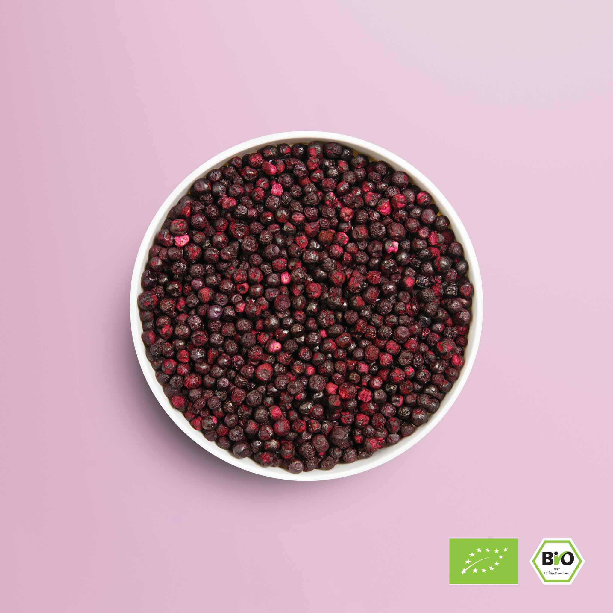 buah gefriergetrocknete Blaubeeren in einer Schale