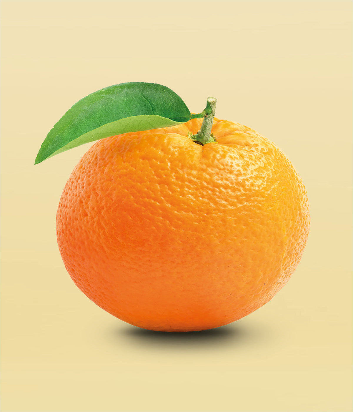 Frische Mandarinen Frucht in sattem Orange vor gelbem Hintergrund