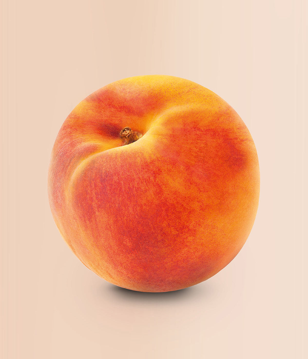 Frischer, reifer und oranger Pfirsich vor rosa Hintergrund