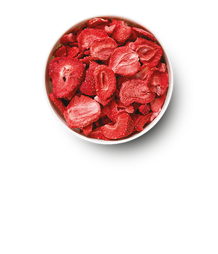 buah gefriergetrocknete Erdbeeren in einer Schale