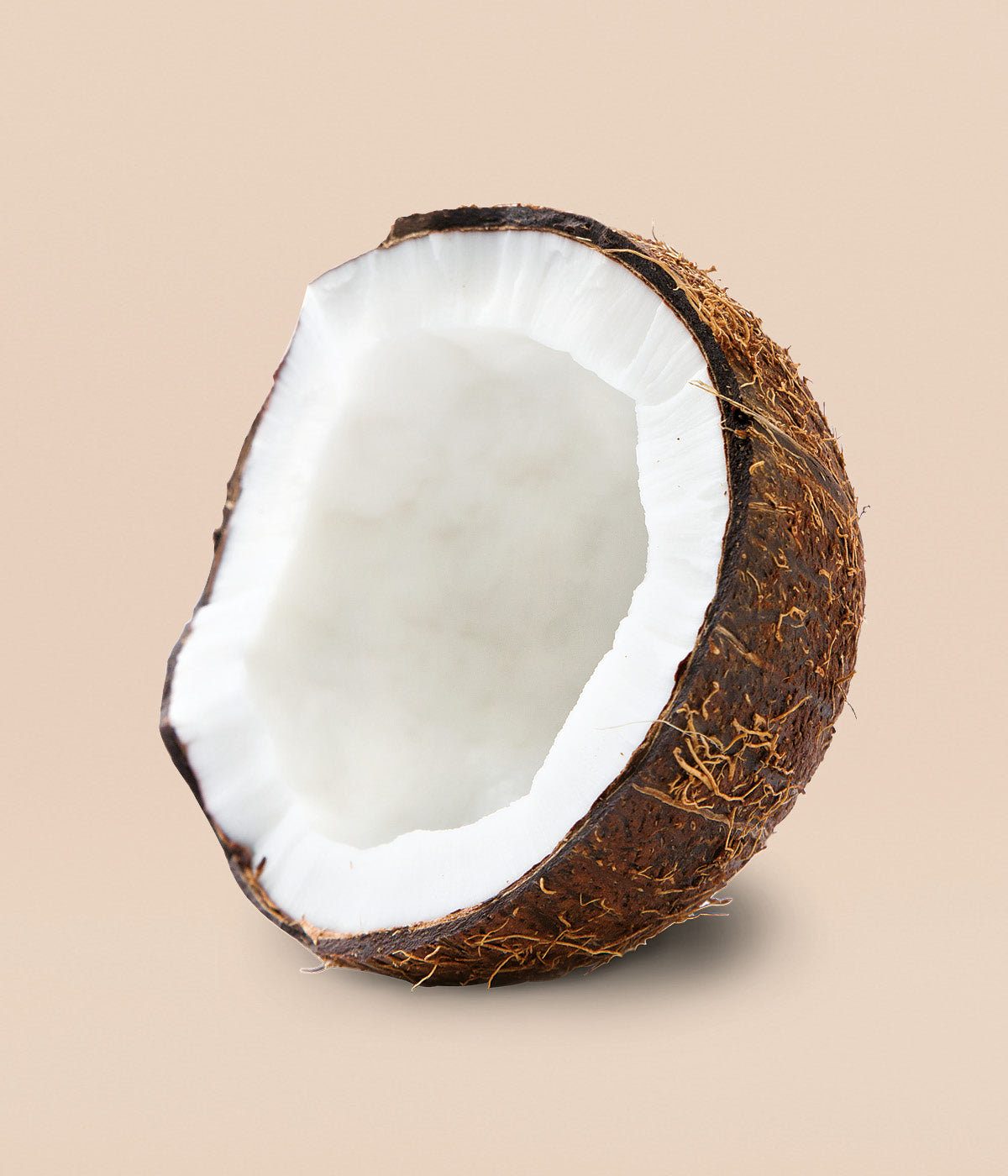Frische halbierte Kokosnuss mit weissem Fruchtfleisch und brauner Schale