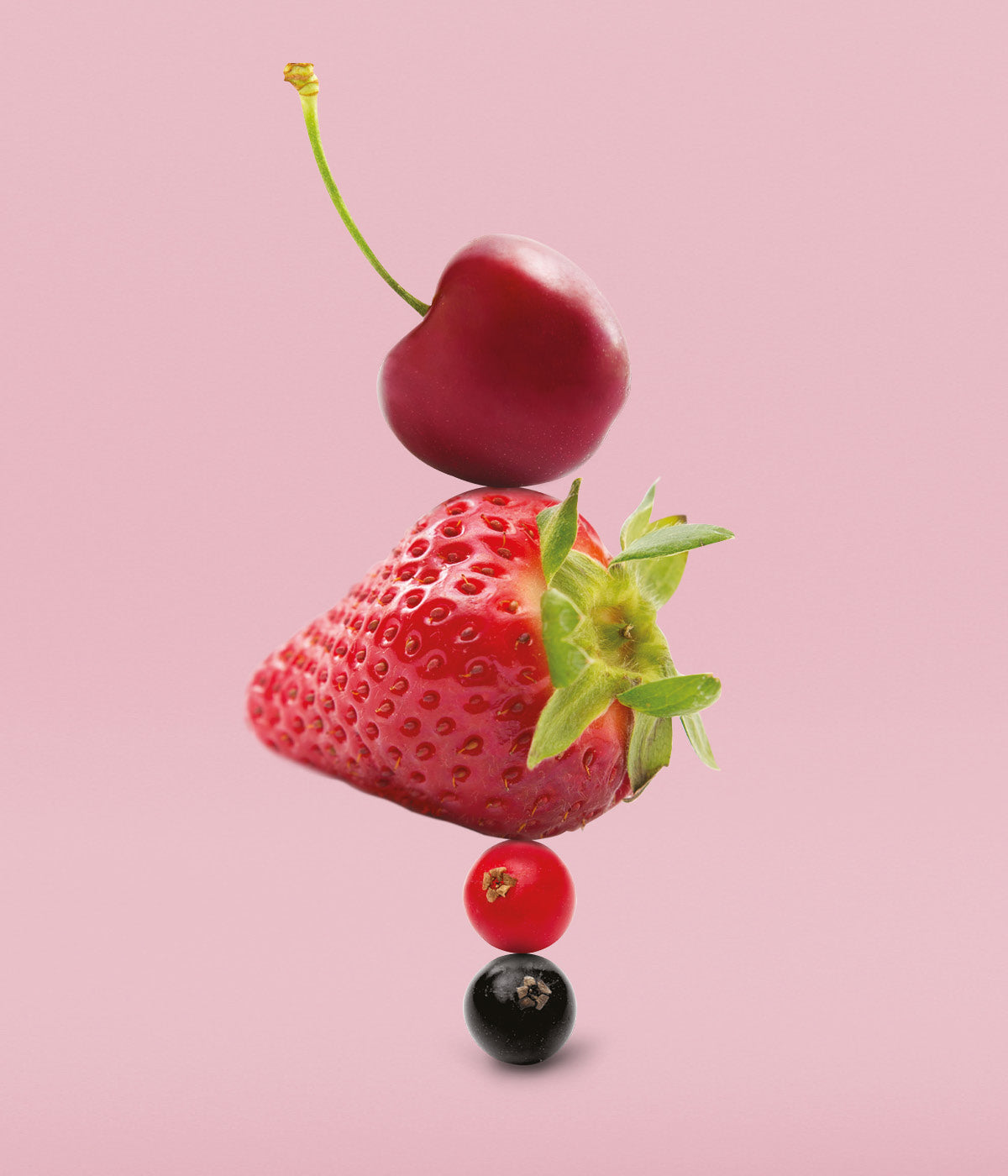 Kirsche auf frische, rote Erdbeere gestapelt, die auf schwarzer und roter Johannisbeere liegt vor rosa Hintergrund