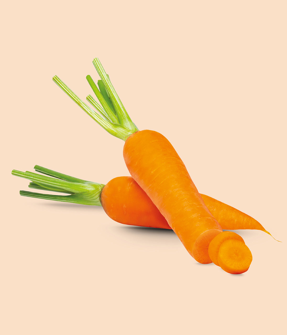 Zwei frische, orangene Karotten liegen nebeneinander vor orangenem Hintergrund